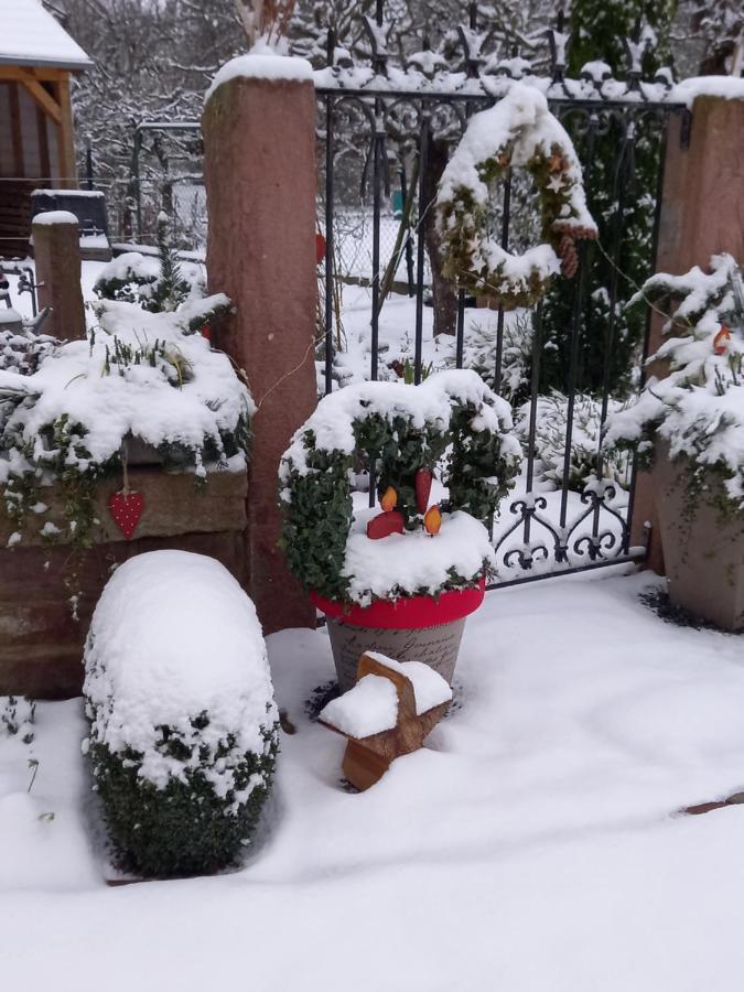 L'Alcove Des P'Tits Coeurs Villa Benfeld Buitenkant foto